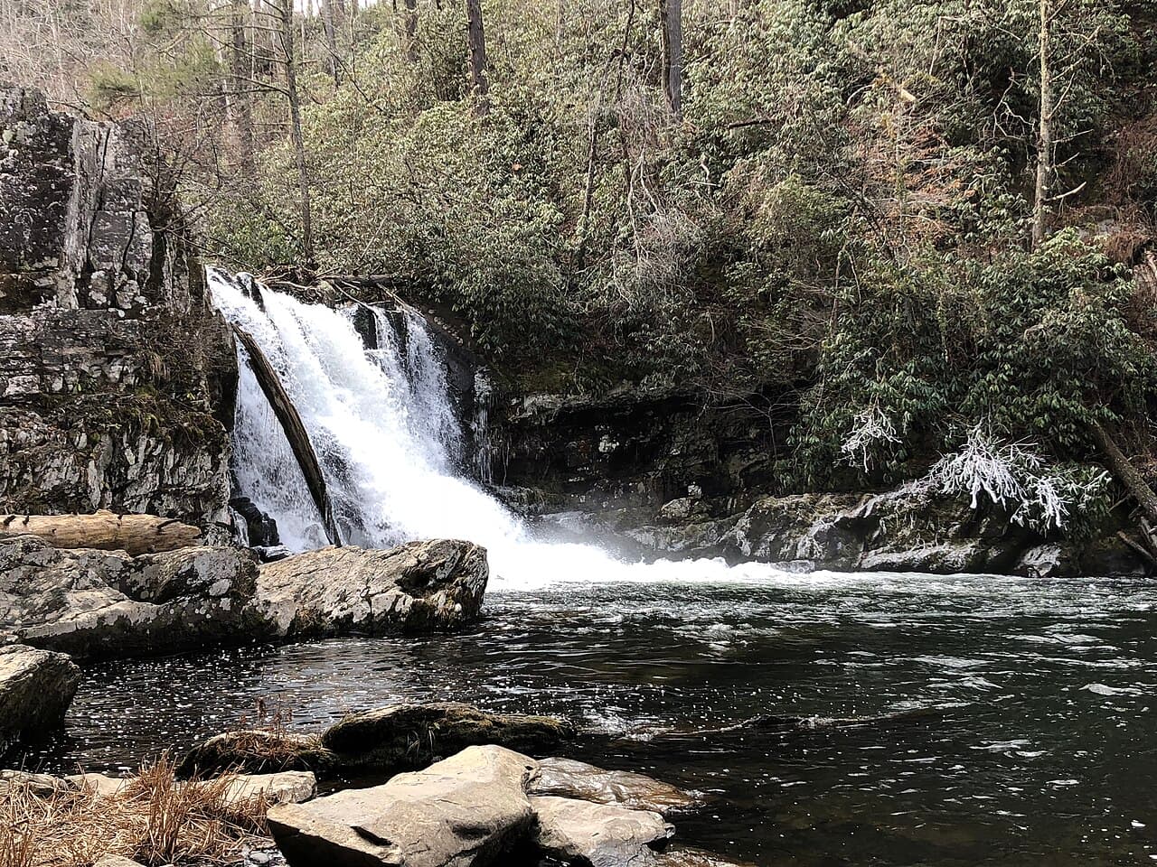 Abrams Falls pouring over a 20-foot ledge into a wide plunge pool in Cades Cove