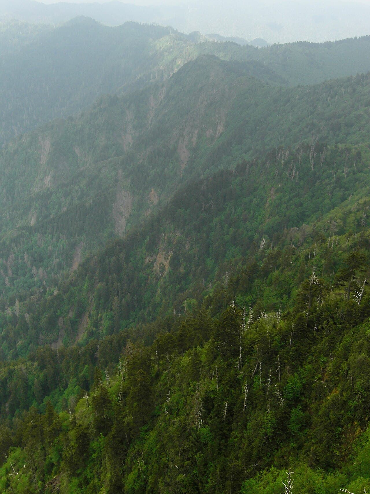 Layered Smoky Mountain ridges seen from Charlies Bunion