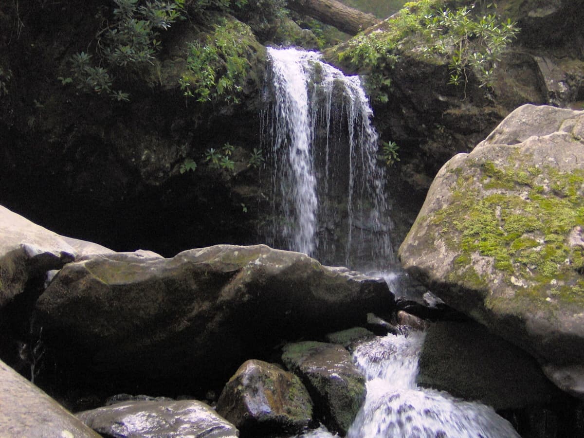 Grotto Falls dropping over an overhang you can walk behind in the Great Smoky Mountains