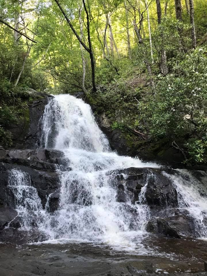 Laurel Falls dropping 80 feet in two tiers over gray ledges beside the paved walkway