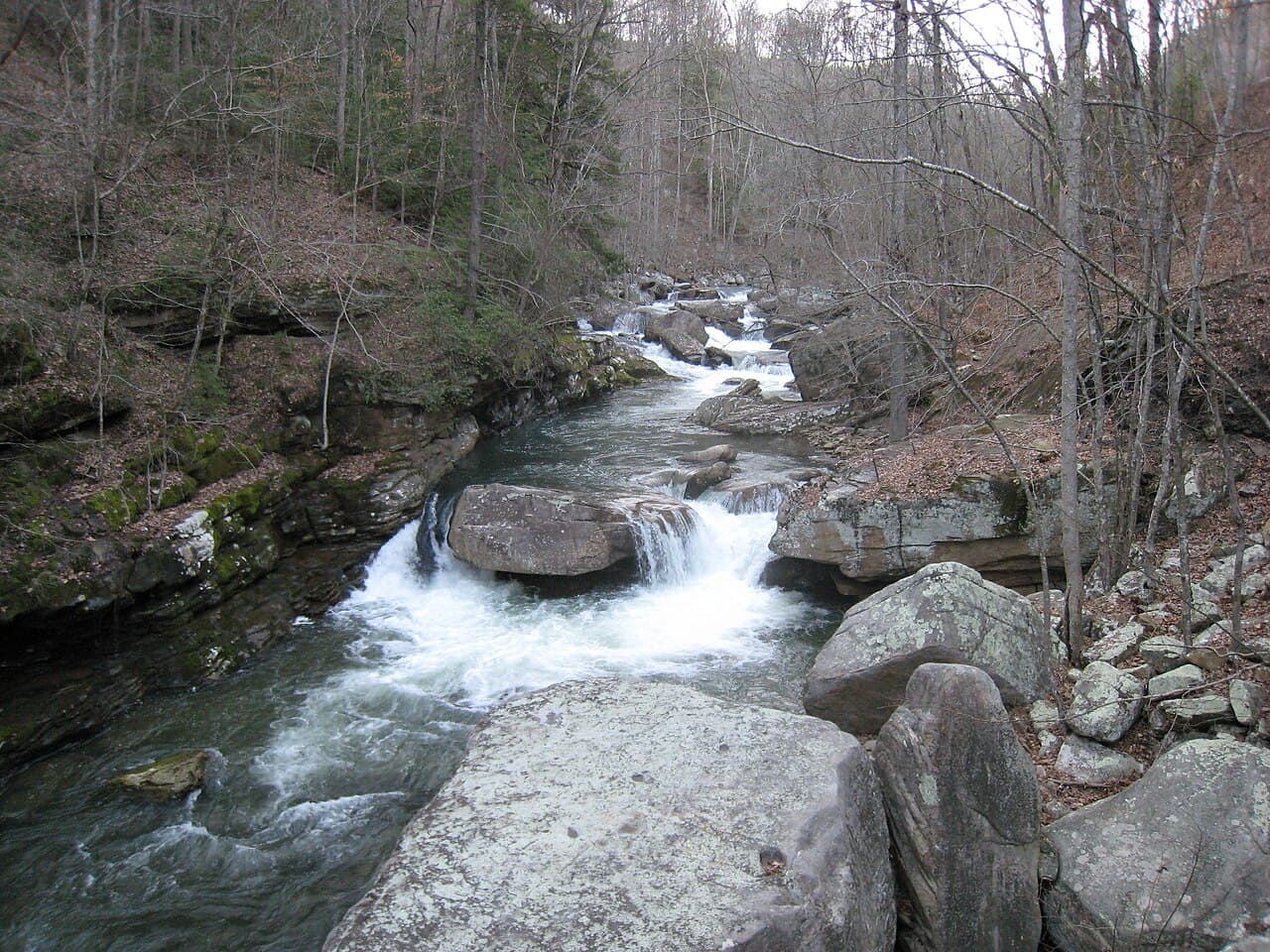 Laurel-Snow State Natural Area near Dayton, Tennessee