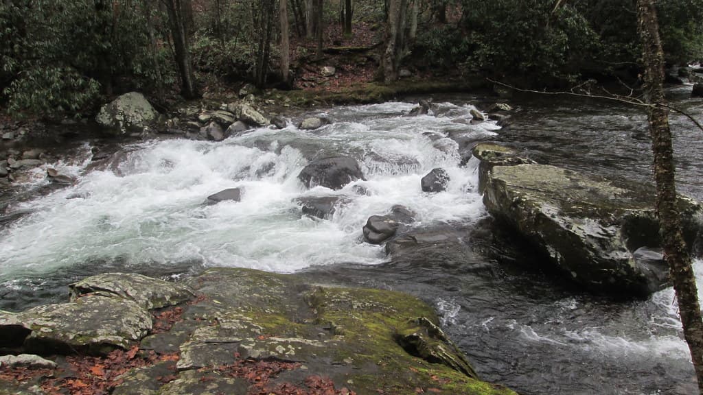 The Little River running alongside the trail near Elkmont in the Great Smoky Mountains