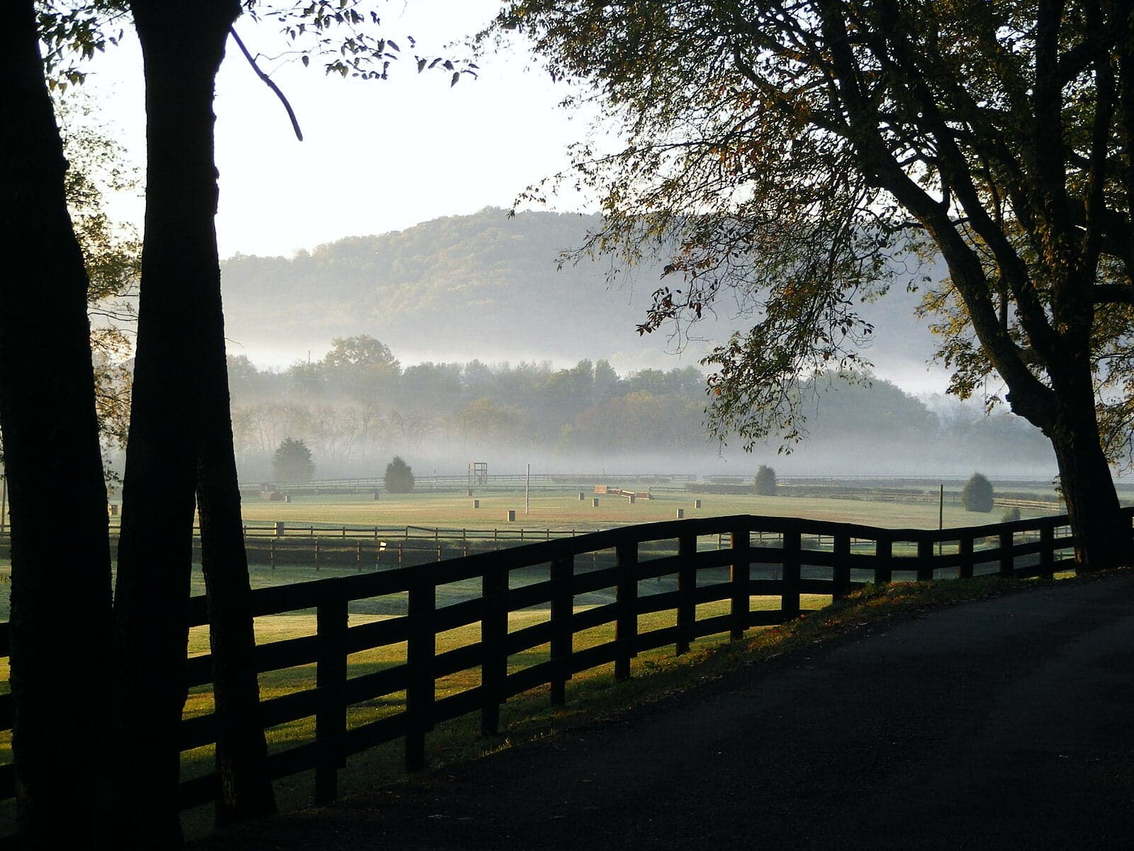 Morning fog over the steeplechase fields of Percy Warner Park, with the wooded ridges that carry the Mossy Ridge Trail rising behind