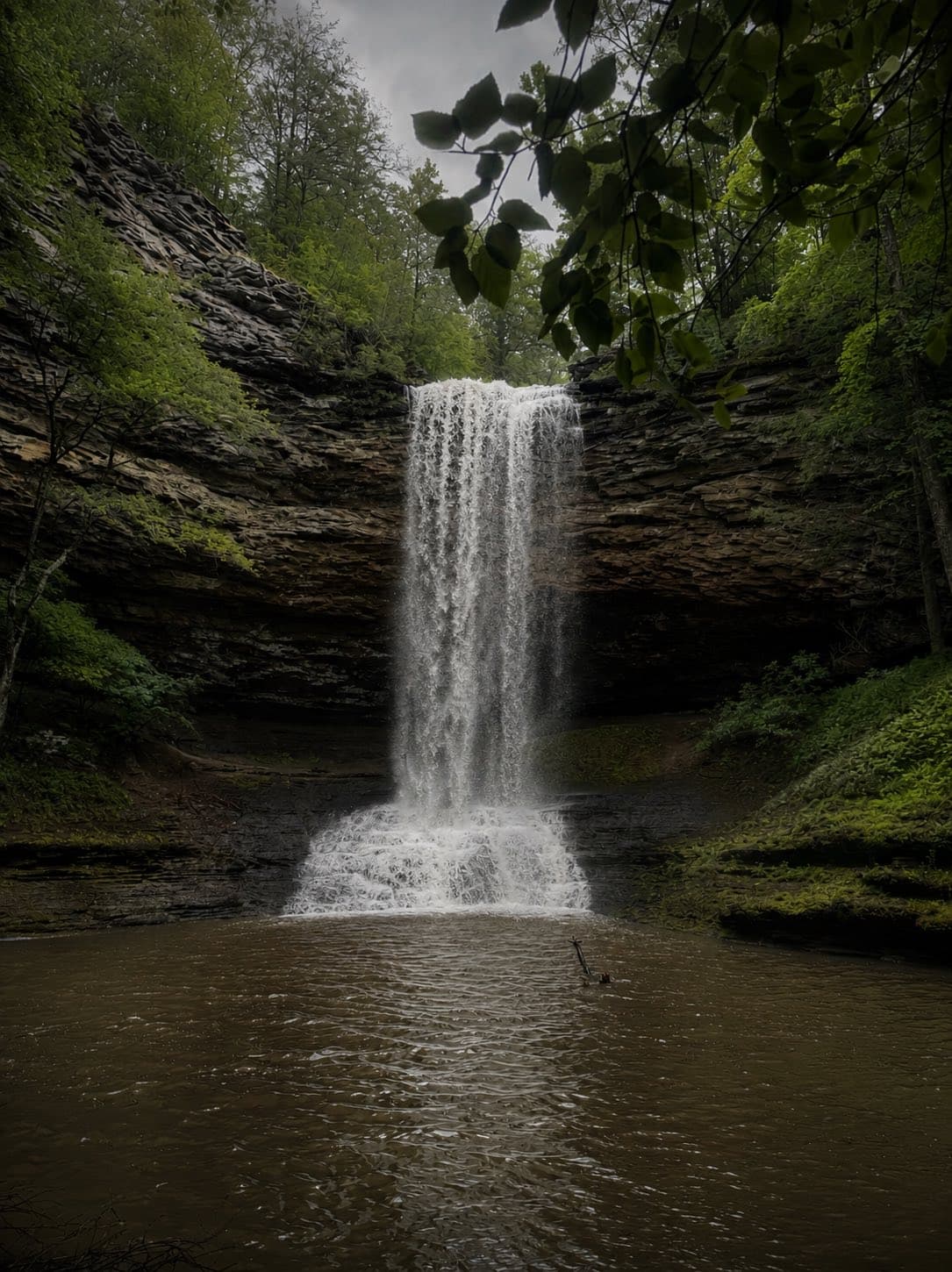 Piney Falls dropping through layered sandstone walls into a dark plunge pool, surrounded by lush forest