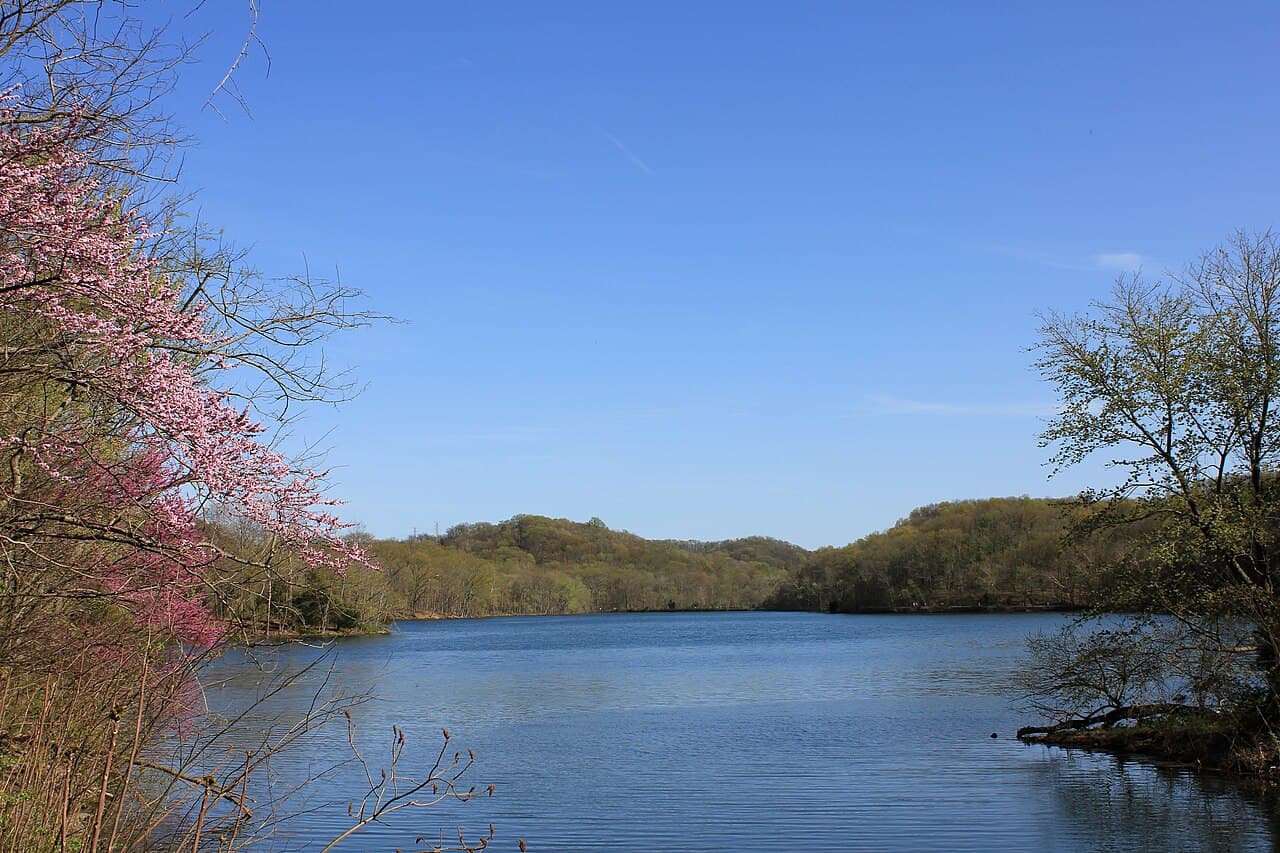 Radnor Lake seen from the trail, still water reflecting surrounding hardwood forest
