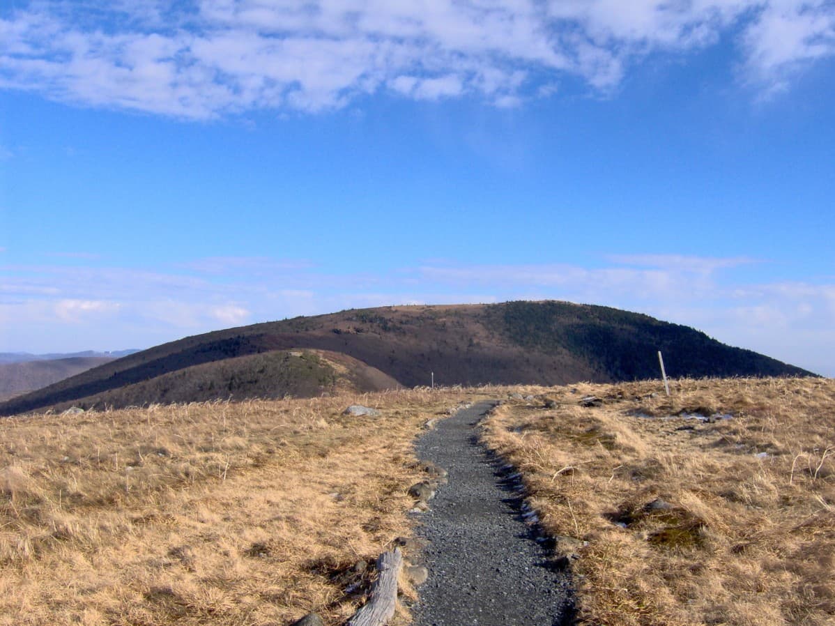 A footpath crossing the grassy Roan balds toward Round Bald