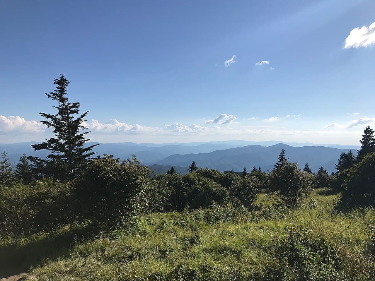 The open grassy meadow of Andrews Bald with layered mountain views in the Great Smoky Mountains