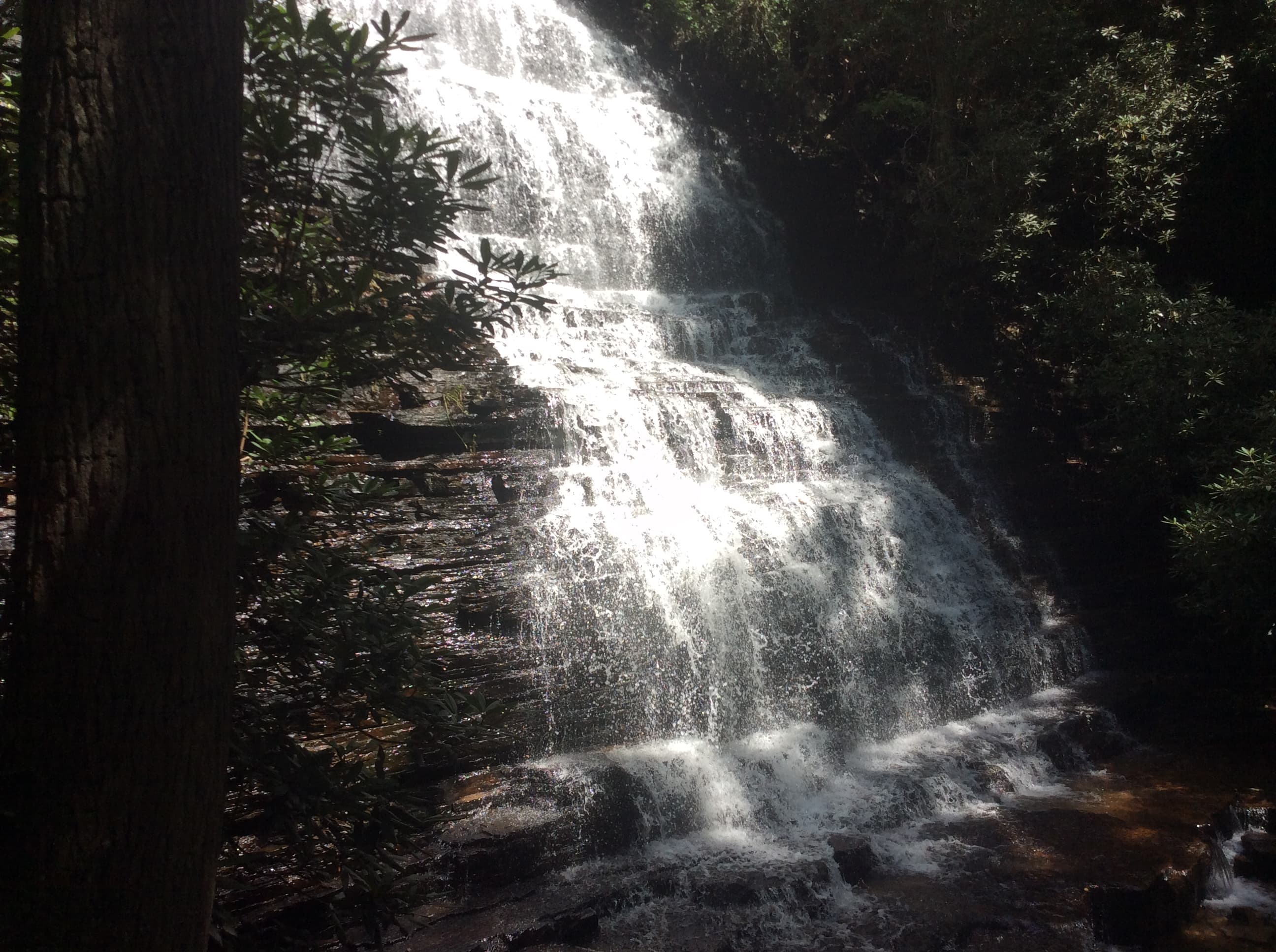 Benton Falls fanning down its broad, stepped sandstone face beneath overhanging rhododendron