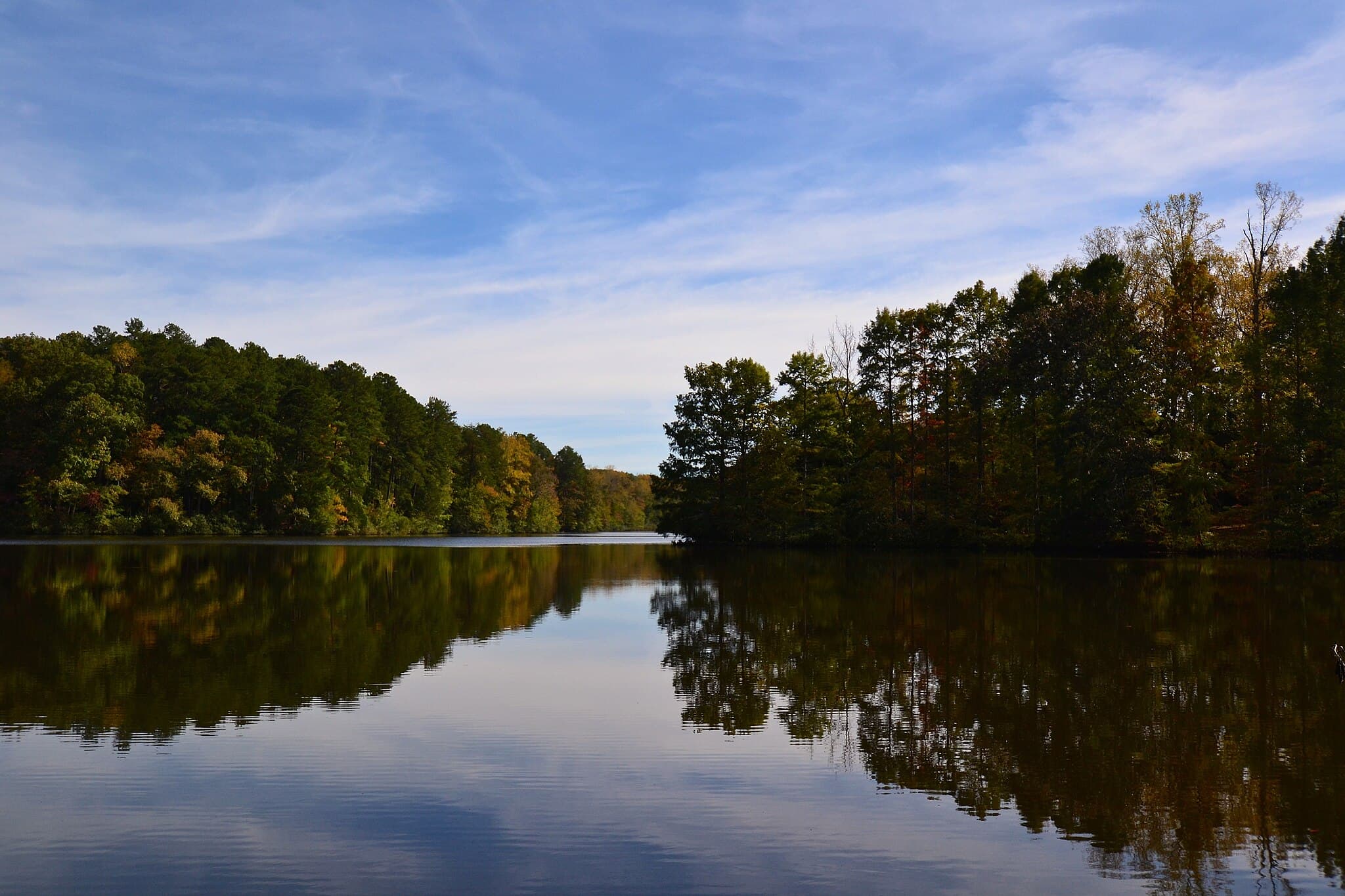 Cub Lake’s calm water reflecting the wooded shoreline at Natchez Trace State Park