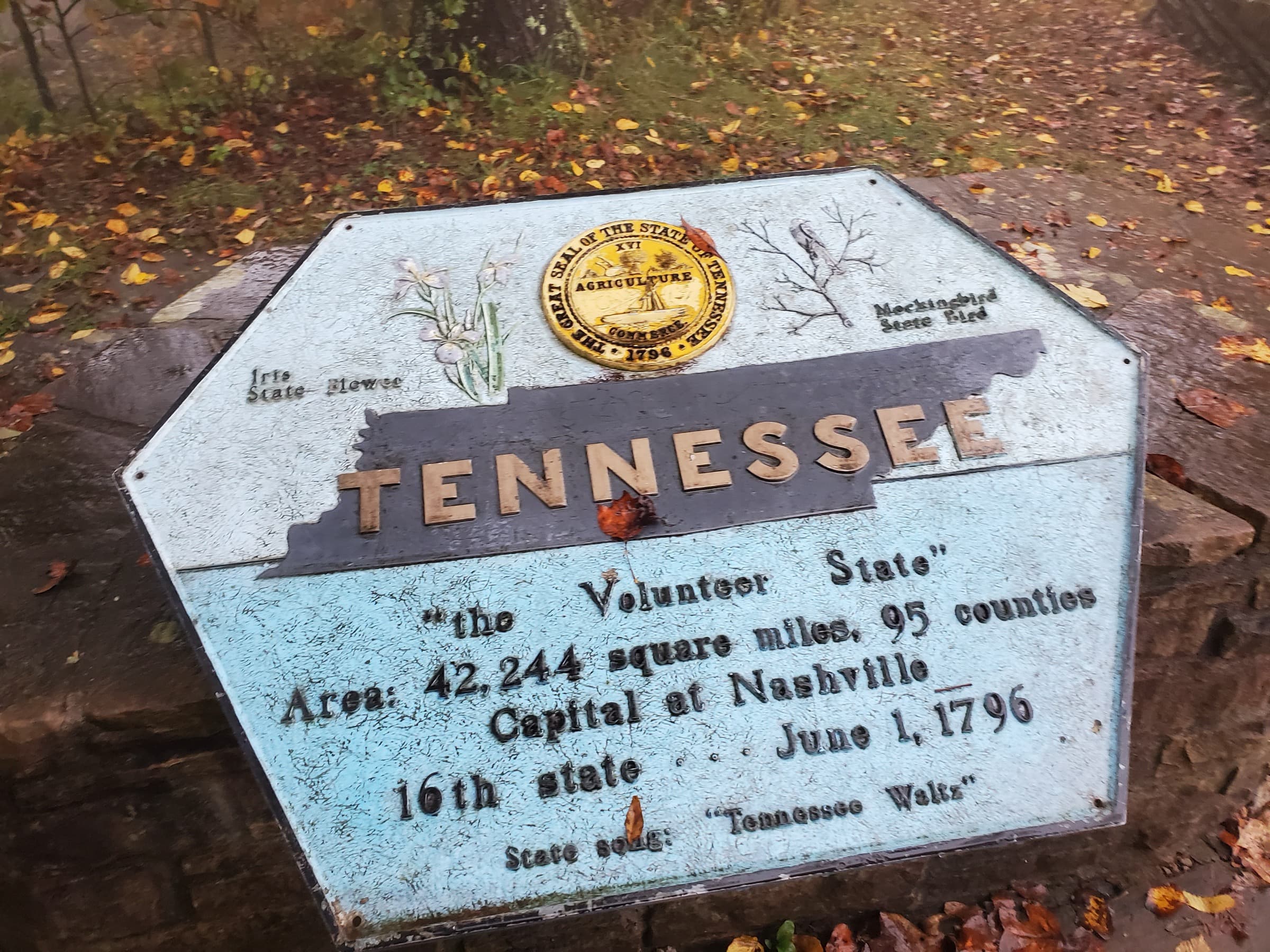 The bronze Tennessee state marker at the summit of Tri-State Peak, where Tennessee, Kentucky, and Virginia meet