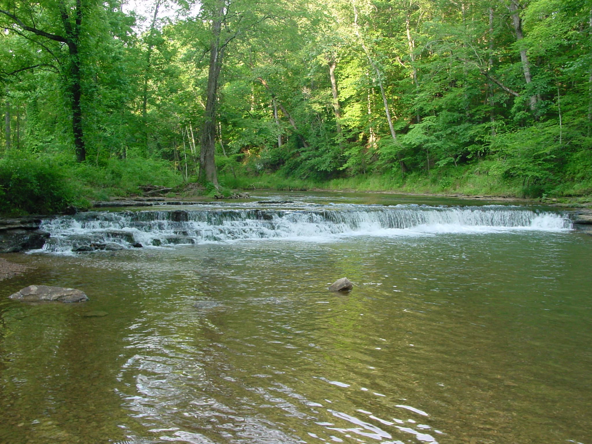 The wide low cascade of Crockett Falls spilling across Shoal Creek in David Crockett State Park