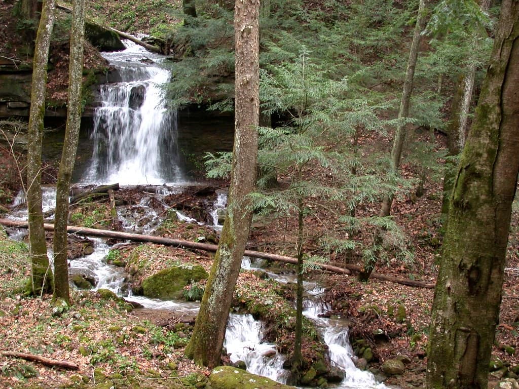 A waterfall along the Panther Branch Trail at Frozen Head State Park