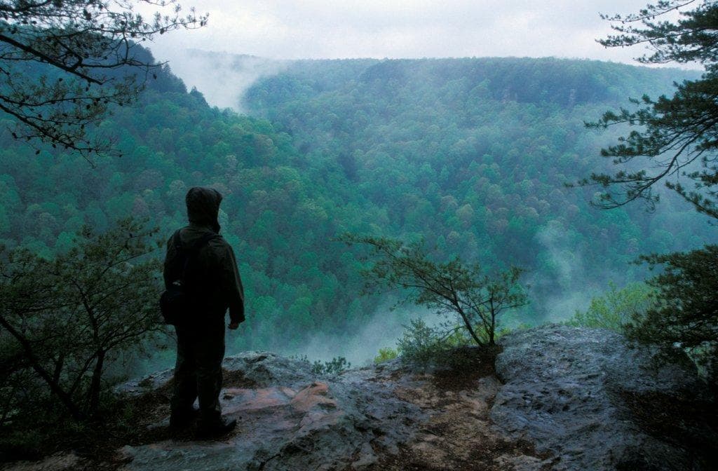 A rocky promontory overlooking the forested gorge along the Fiery Gizzard Trail