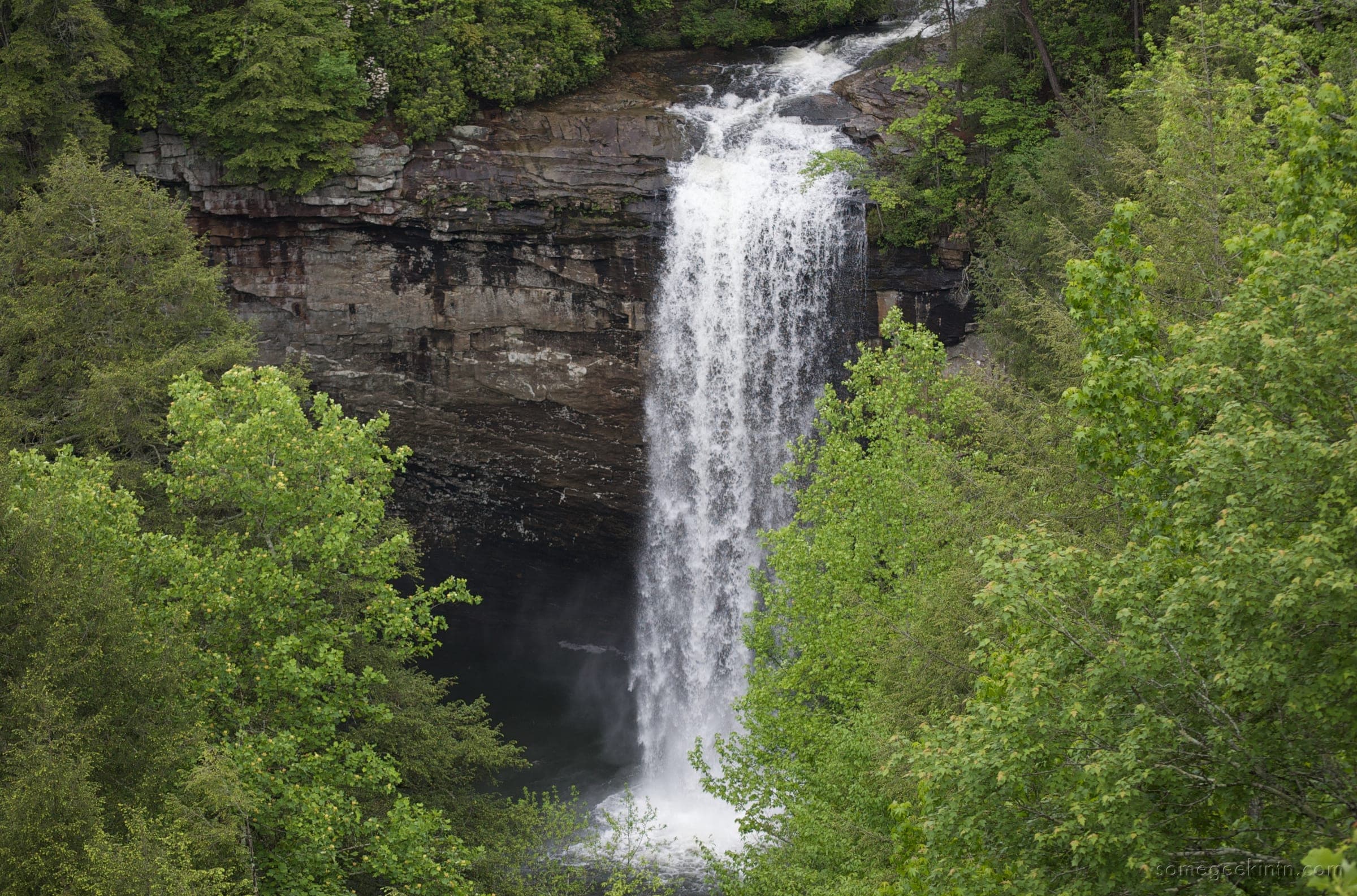 Foster Falls plunging 60 feet off a dark sandstone cliff into its pool, framed by spring-green trees