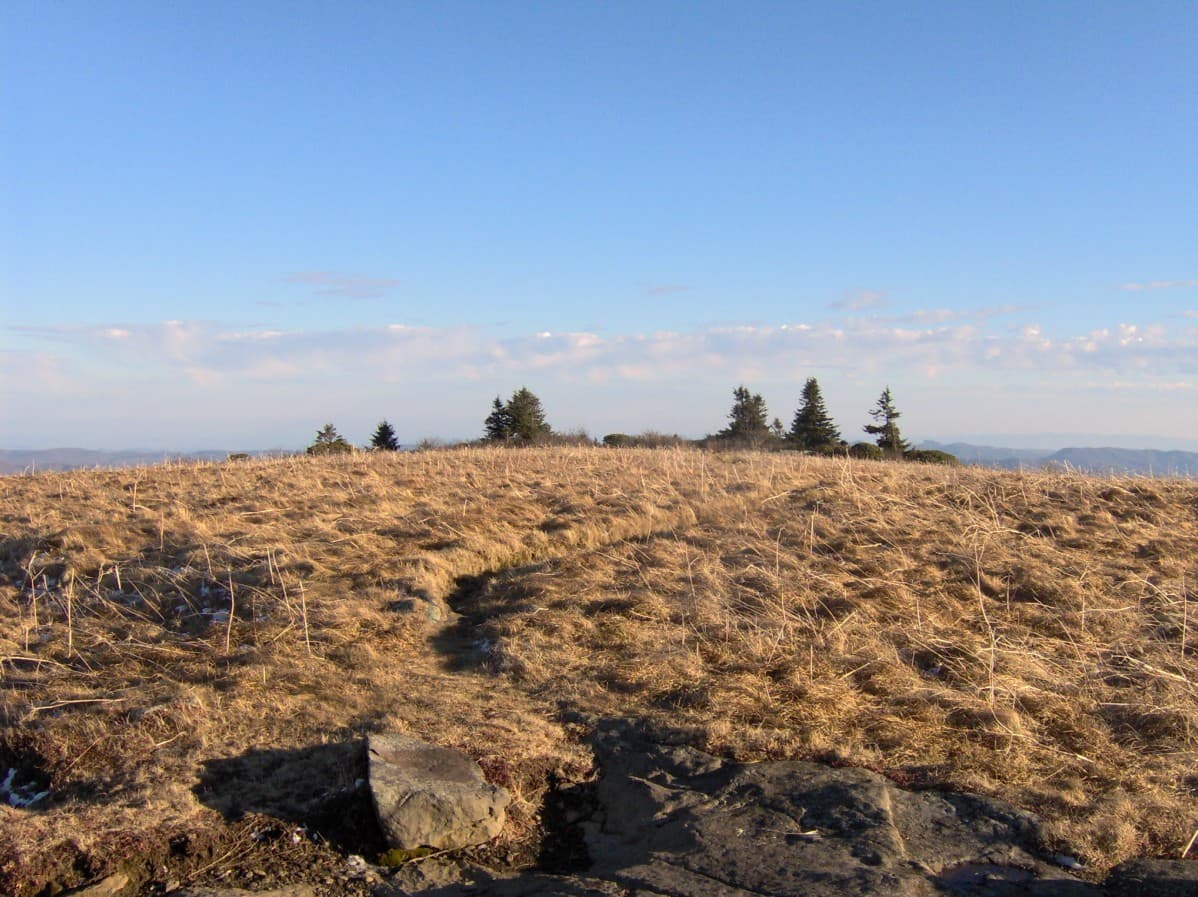 The open grassy crown of Grassy Ridge Bald in the Roan Highlands, with long views over the surrounding ridges