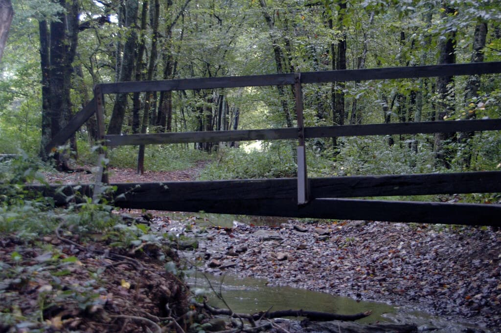 A wooden footbridge over a creek on the wooded Harpeth Woods Trail in Edwin Warner Park