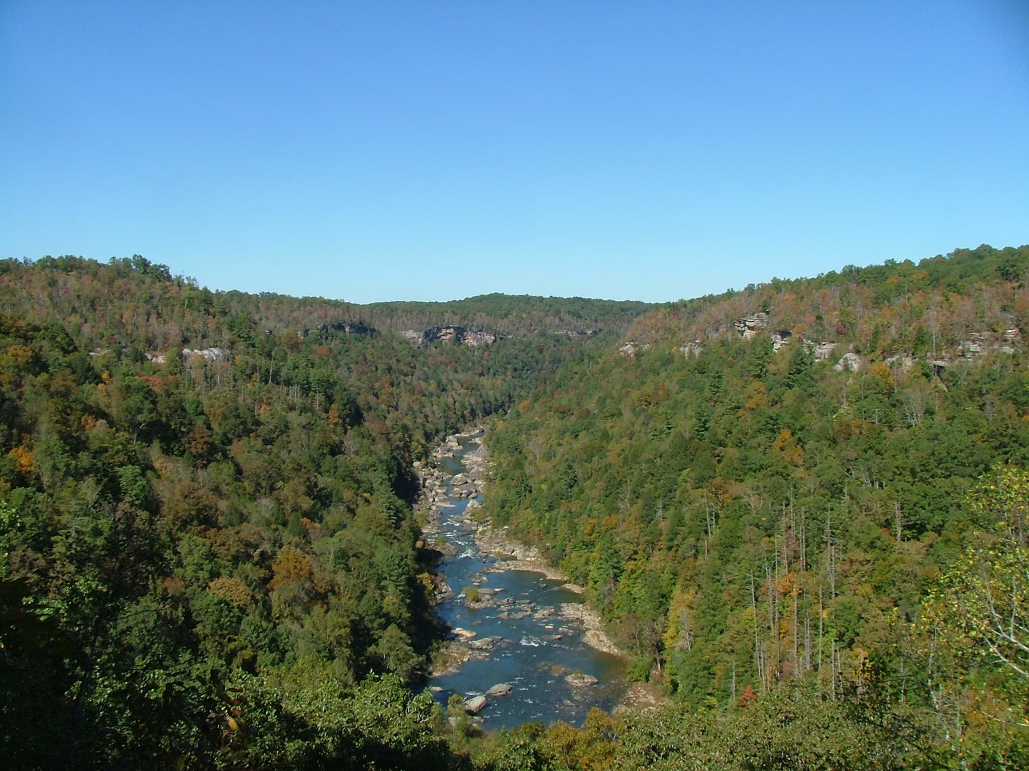 The Big South Fork winding through its forested gorge far below the Honey Creek Overlook