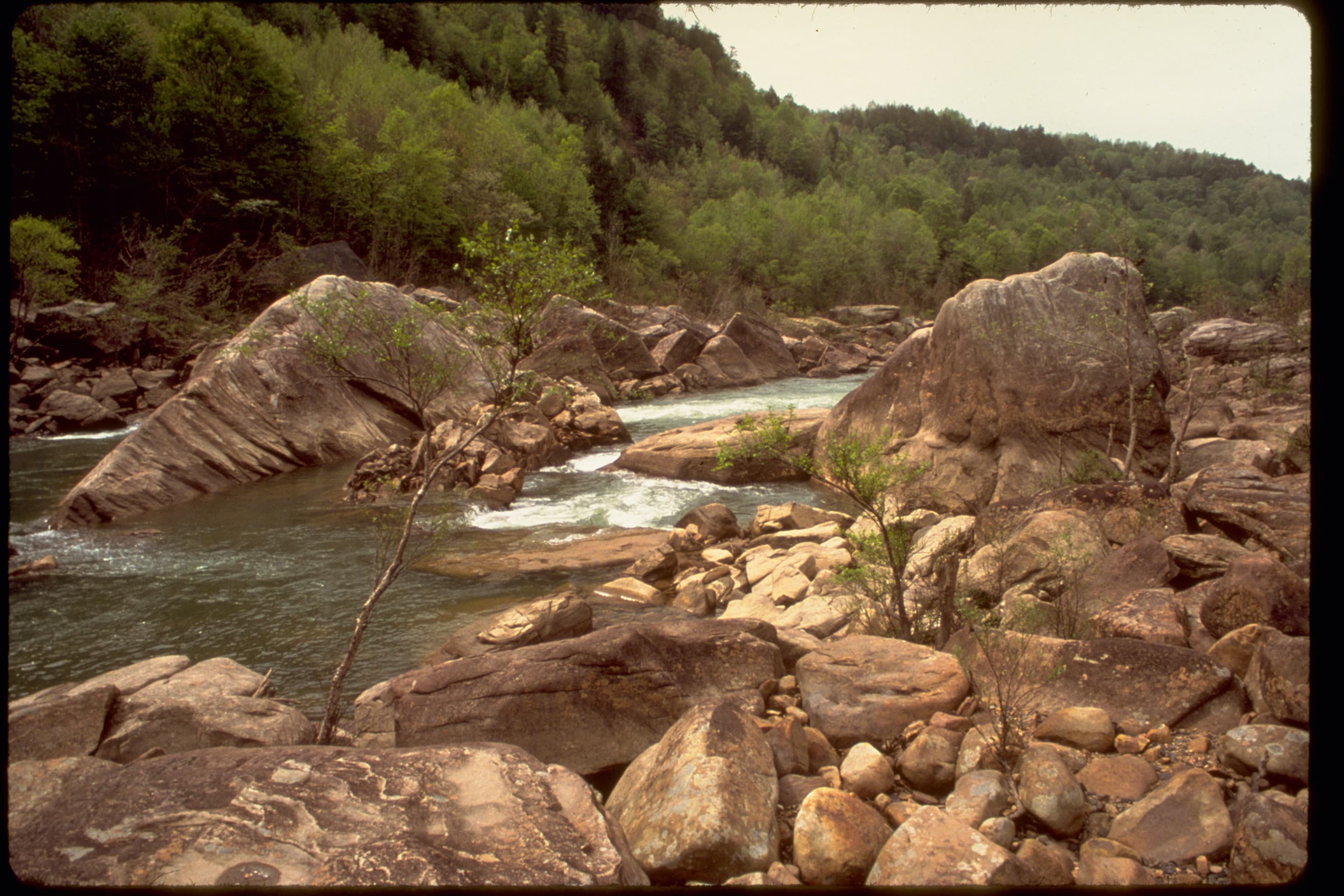 The Clear Creek gorge of the Obed Wild & Scenic River seen from the cliffs below Lilly Bluff
