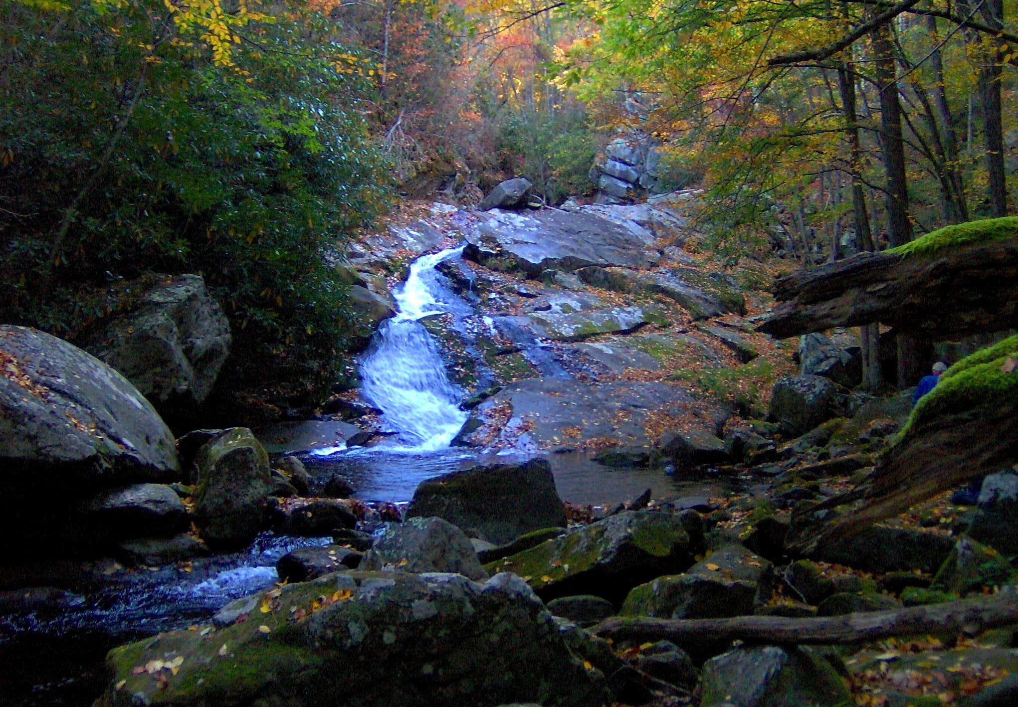 A small waterfall on Lynn Camp Prong pouring over dark ledges between mossy boulders
