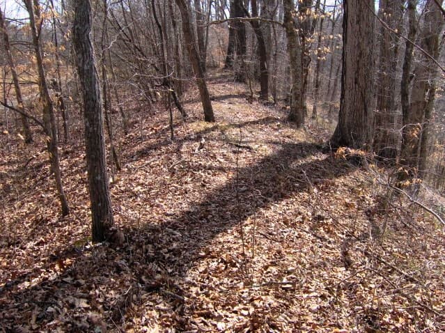 Grass-covered remains of the Old Stone Fort's south wall, with the wooded interior on one side and the ditch on the other
