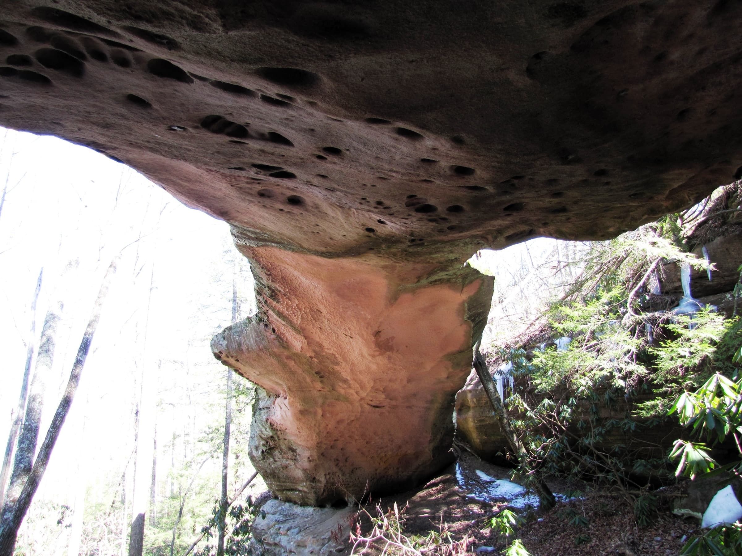 The 86-foot sandstone natural bridge at Pickett CCC Memorial State Park