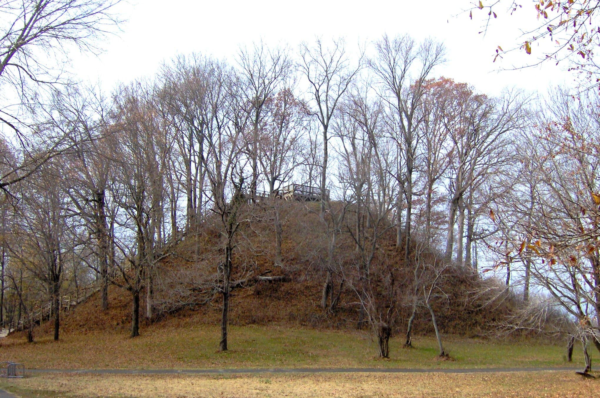 Tree-covered Sauls Mound rising 72 feet above the surrounding lawn at Pinson Mounds