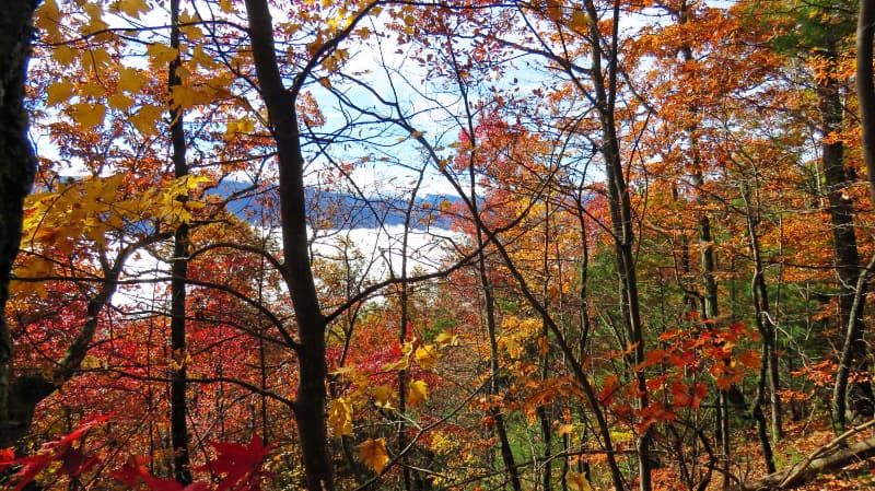 The view down into Cades Cove from the Rich Mountain Loop in autumn