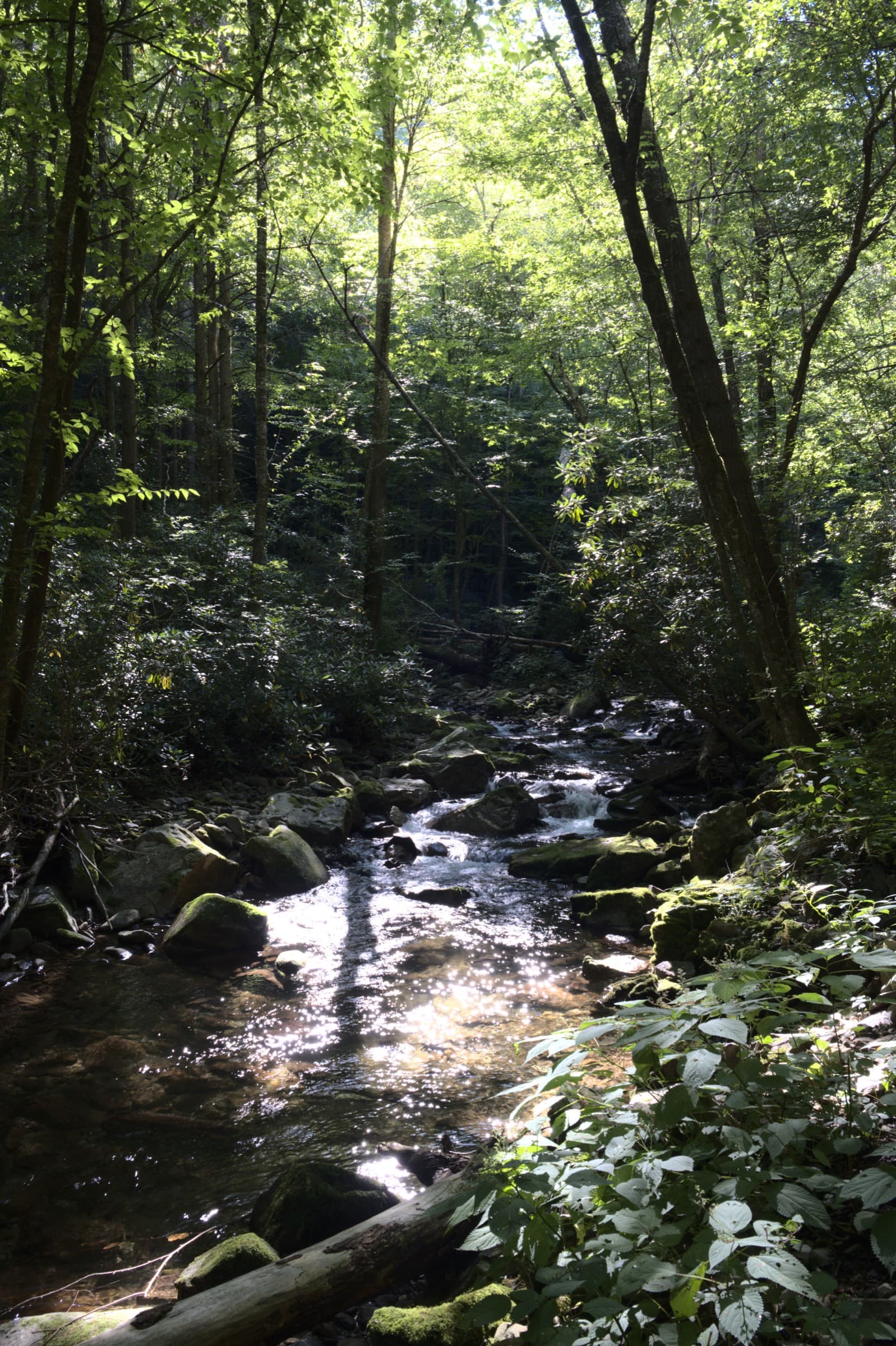 Cascades and clear pools among boulders along Rocky Fork Creek at Rocky Fork State Park