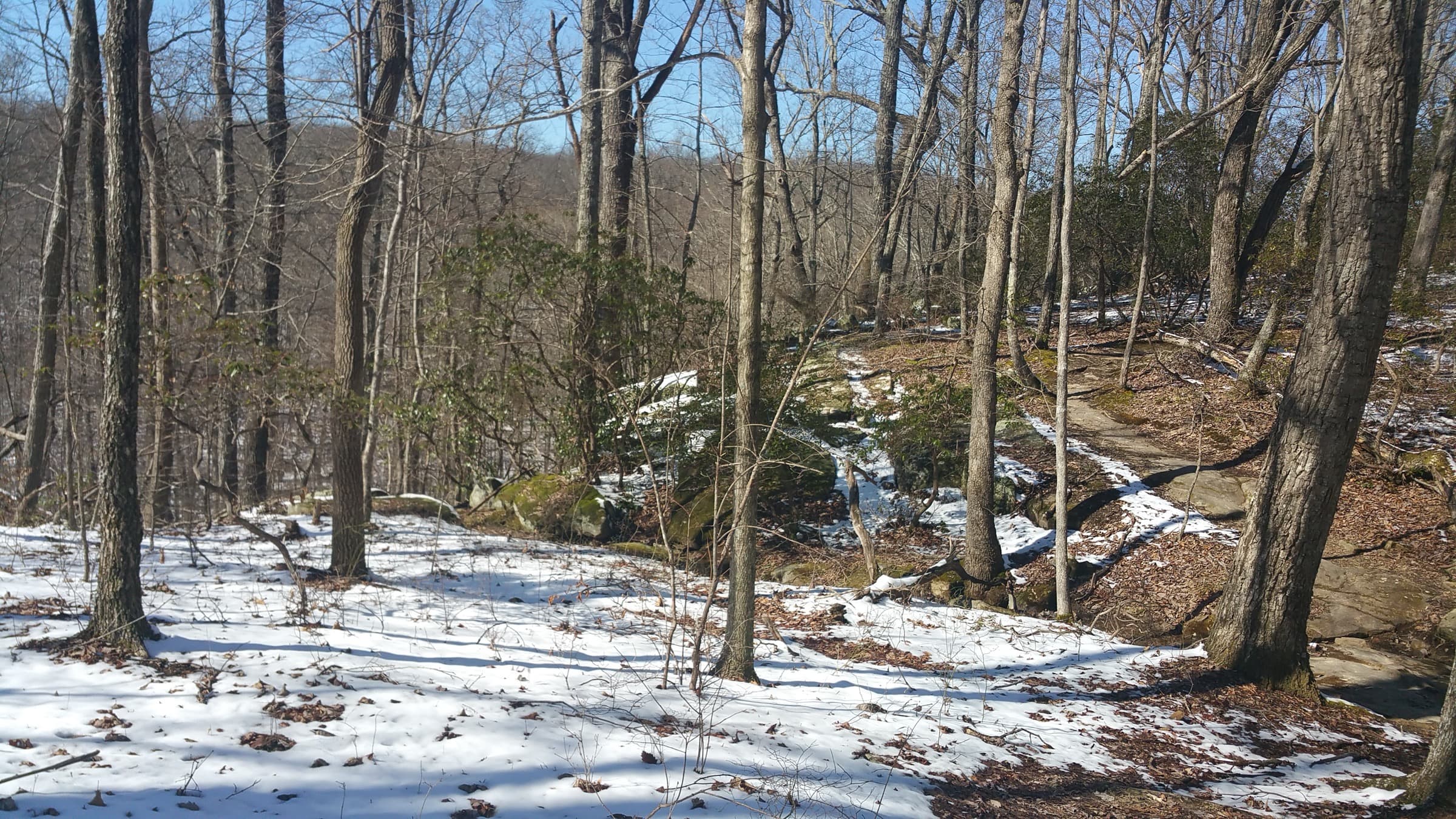 Sandstone bluffs along the Sewanee Perimeter Trail overlooking a forested cove
