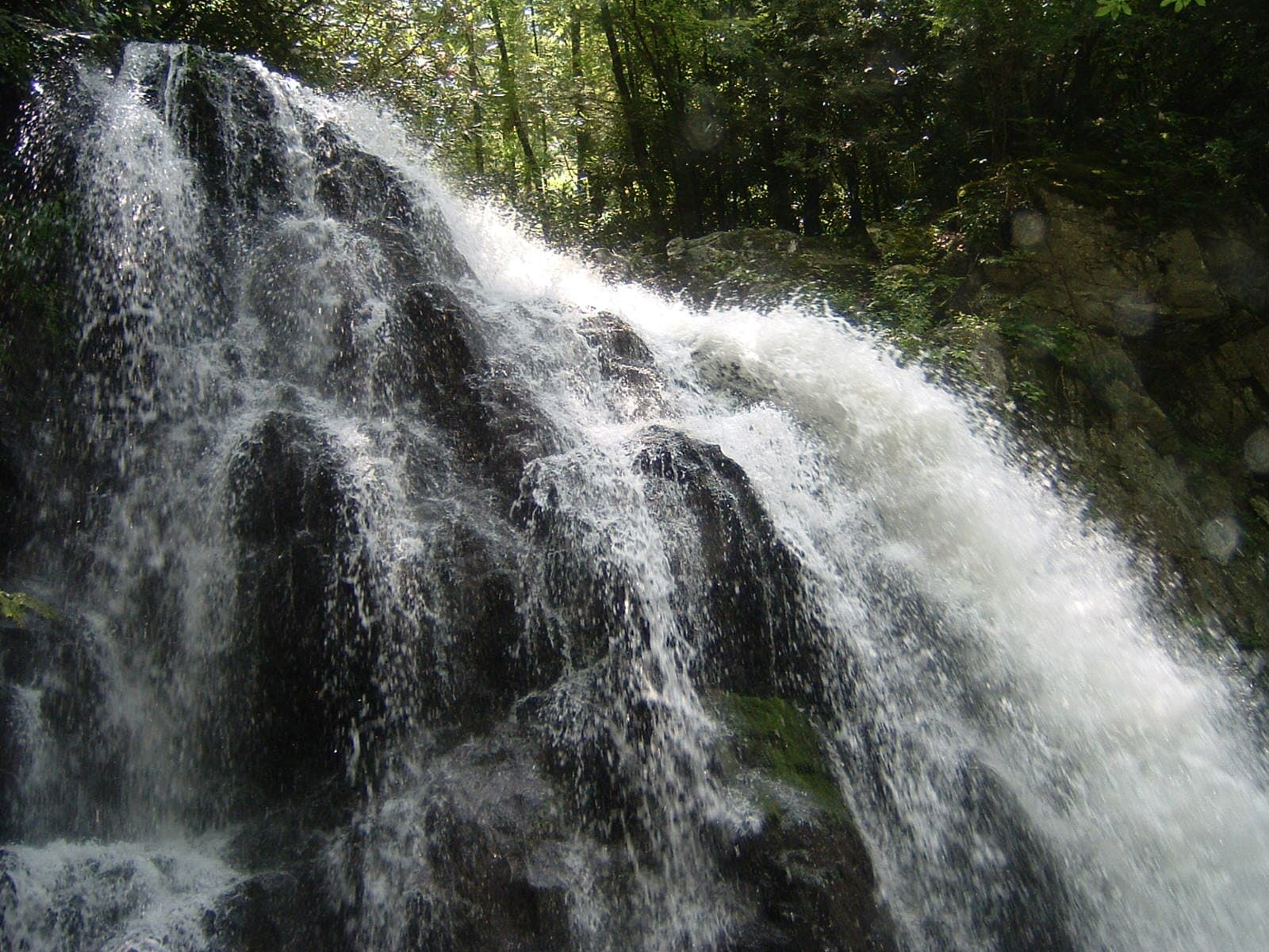 Spruce Flats Falls dropping in tiers over mossy rock on Spruce Flats Branch
