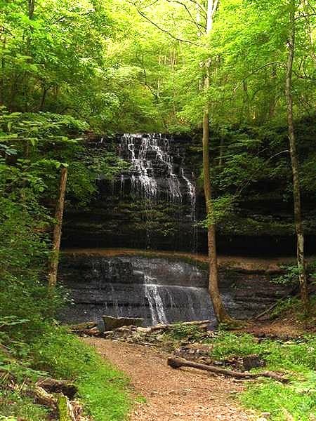The roughly 75-foot Stillhouse Hollow Falls dropping over a bluff into a clear pool