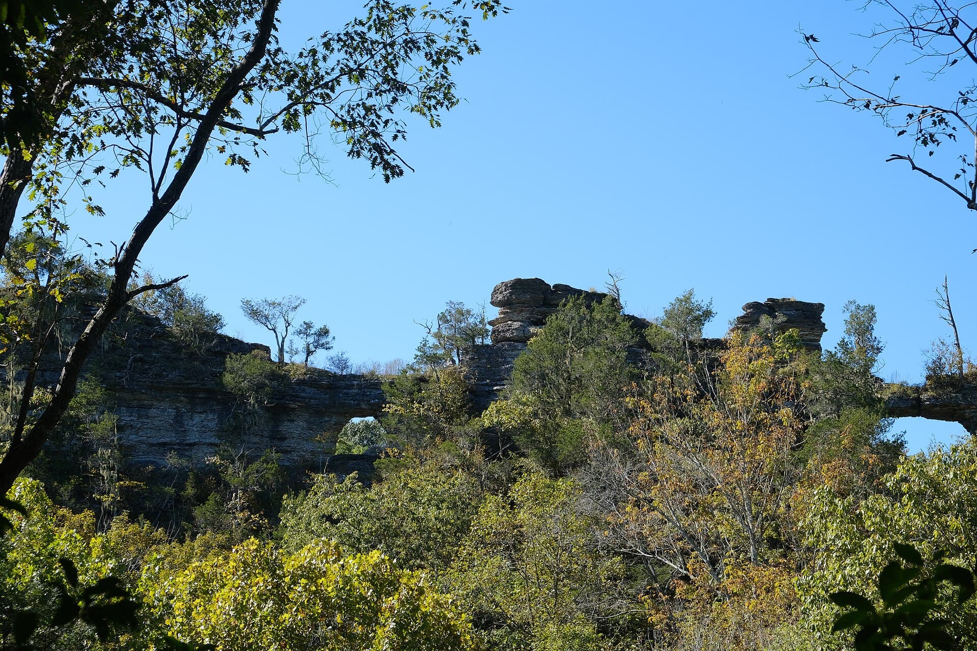 The narrow limestone spine of Window Cliffs rising above the trees, with daylight showing through one of its windows